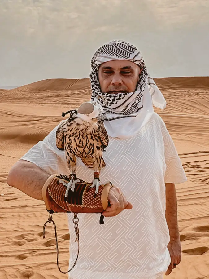 ibrahim murat gunduz desert falcon.jpg